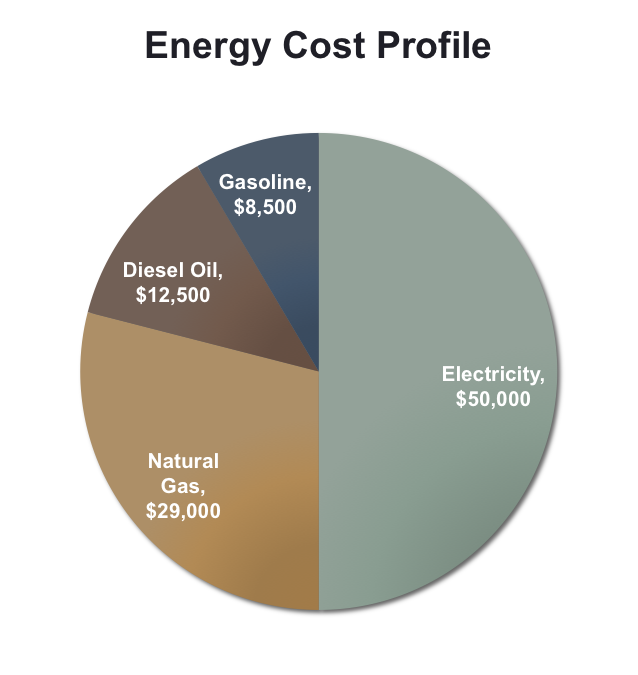 Sample Energy Cost Profile