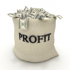 bag of profits